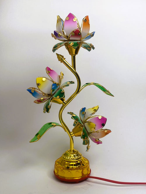 The Lotus Lamp